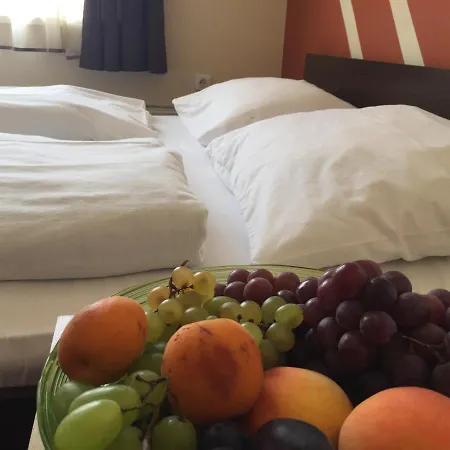 Ξενοδοχείο Agoston 3*